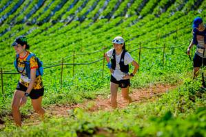 BIB: 1176
                            <button type="button" onclick="openModal(19163301)" class="btn btn-primary btn-sm float-right btn-popup" data-toggle="modal" data-target=".modal-high-quality">
                        <i class="fas fa-shopping-cart"></i> Add to Cart
                    </button>
                                            <button type="button" onclick="isThisMe(19163301, true)" class="btn btn-success btn-sm float-right btn-popup btn-isme hidden" data-toggle="tooltip" data-placement="bottom" title="นี่คือรูปของคุณใช่ไหม คลิกที่นี่เพื่อเอาเข้าอัลบั้ม">
                        <i class="fas fa-plus"></i> Add to album
                    </button>
                    <button type="button" onclick="isThisMe(19163301, false)" class="btn btn-warning btn-sm float-right btn-popup btn-isnotme hidden">
                        <i class="fas fa-ban"></i> Remove from album
                    </button>